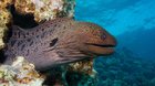 Aldabra 3D